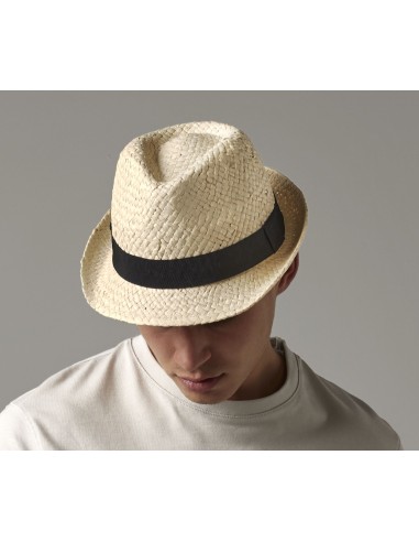BEE-B720-Festival Trilby